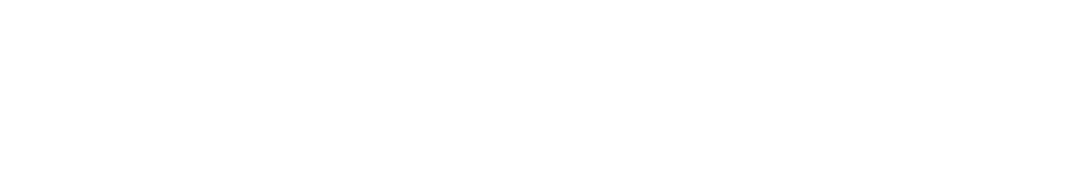 Logo StartupNE